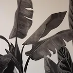 Tropical Boutique Галлиполи