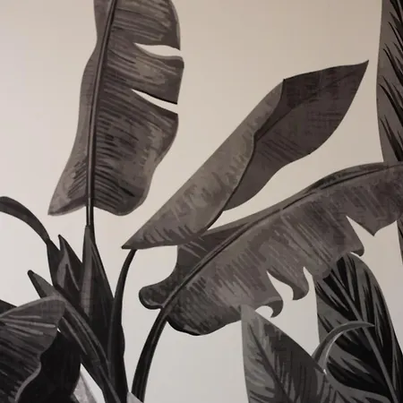 Tropical Boutique غالّيبولي